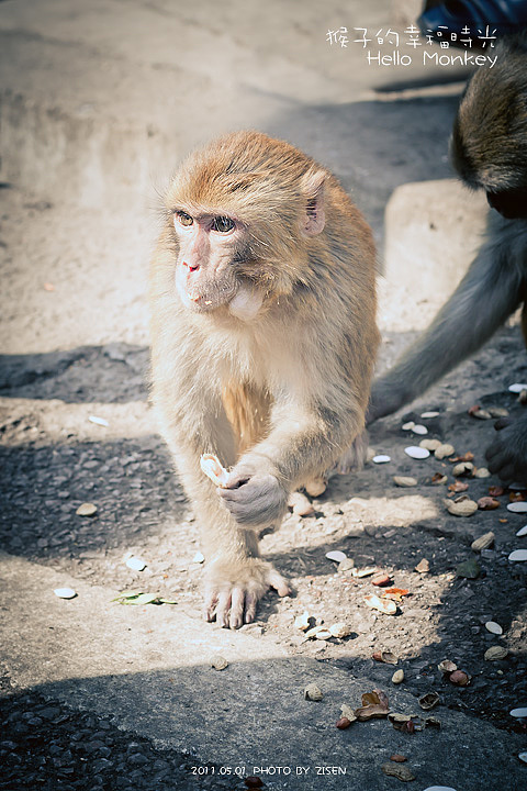 露点了,小心被和谐(米猴的生活)|摄影|风光摄影|he