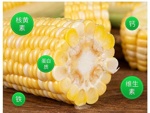 水果玉米详情页