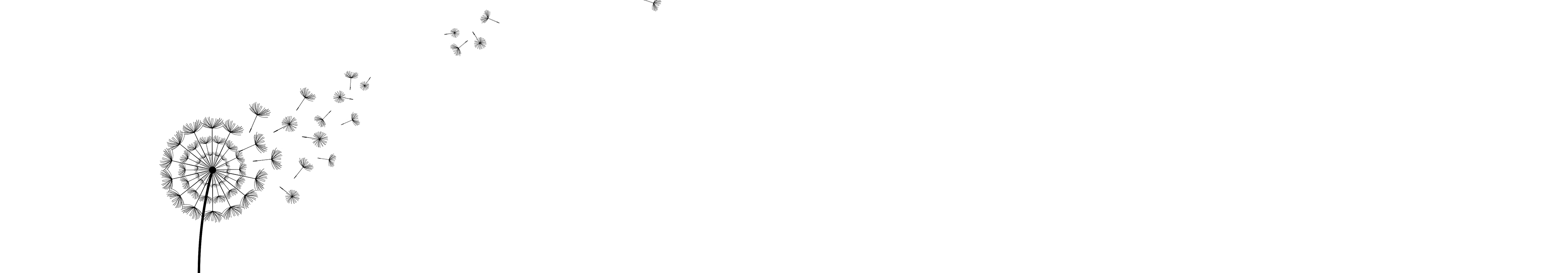 美工在线的个人主页（封面预览） - 主页封面设置 - 站酷设计师美工在线原创素材 - 站酷ZCOOL