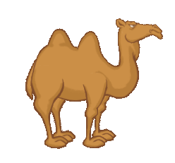 小动物【动图】