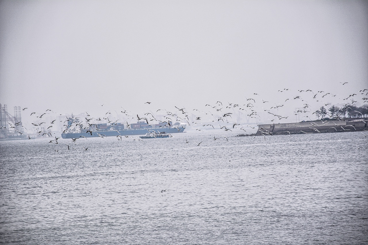 冷色（图ZOTkwODgwNzY=） - 风光摄影 - 站酷设计师她说tashuo原创素材 - 站酷ZCOOL