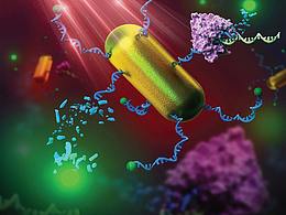 学术杂志封面图机理图设计制作科研做作绘图医学插画