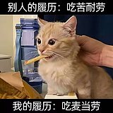 北沐xyy的头像
