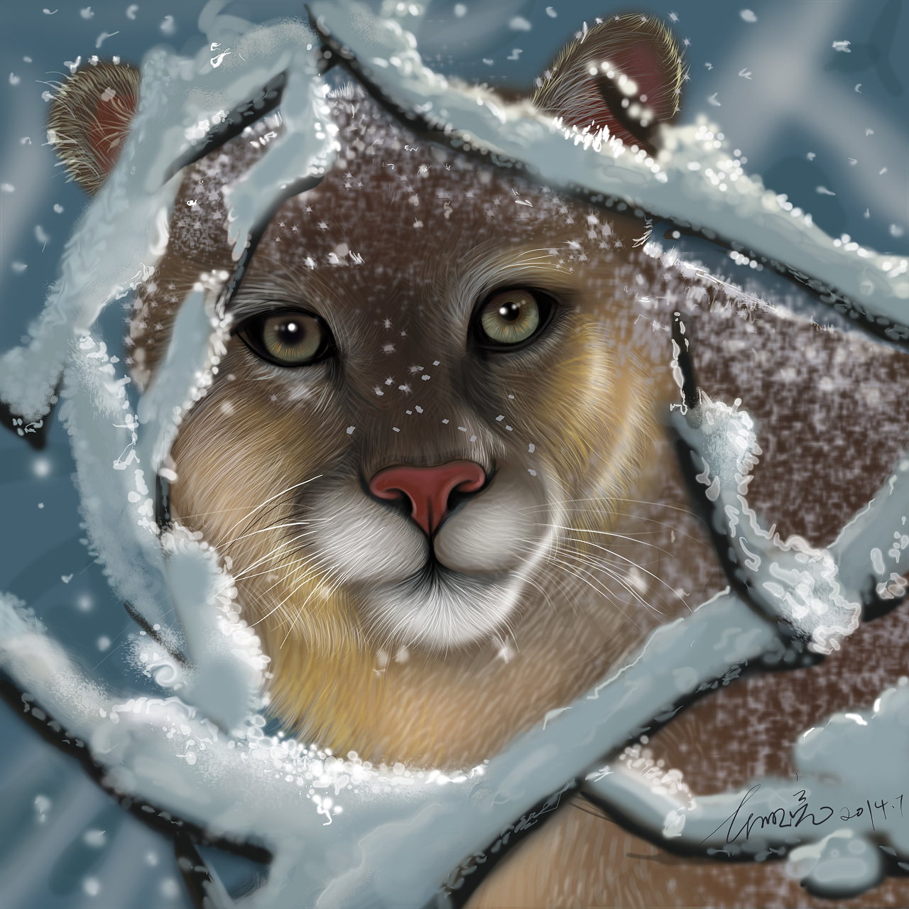 插画动物(写实)习作