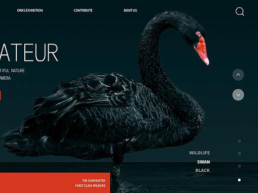 网页概念稿稿设计