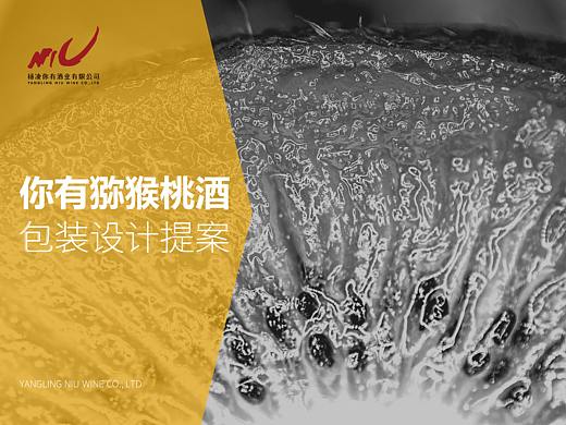 2018|“你有”猕猴桃酒包装设计提案