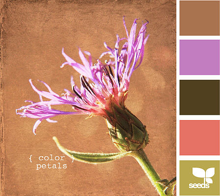 美丽的配色卡啊——02（图ZMTQwMzYyNzA0） - 图案 - 站酷设计师Bona_Dai原创素材 - 站酷ZCOOL