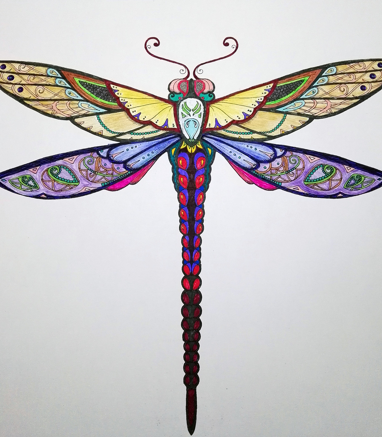 秘密花园填色2,彩铅加水彩笔2016/11/30