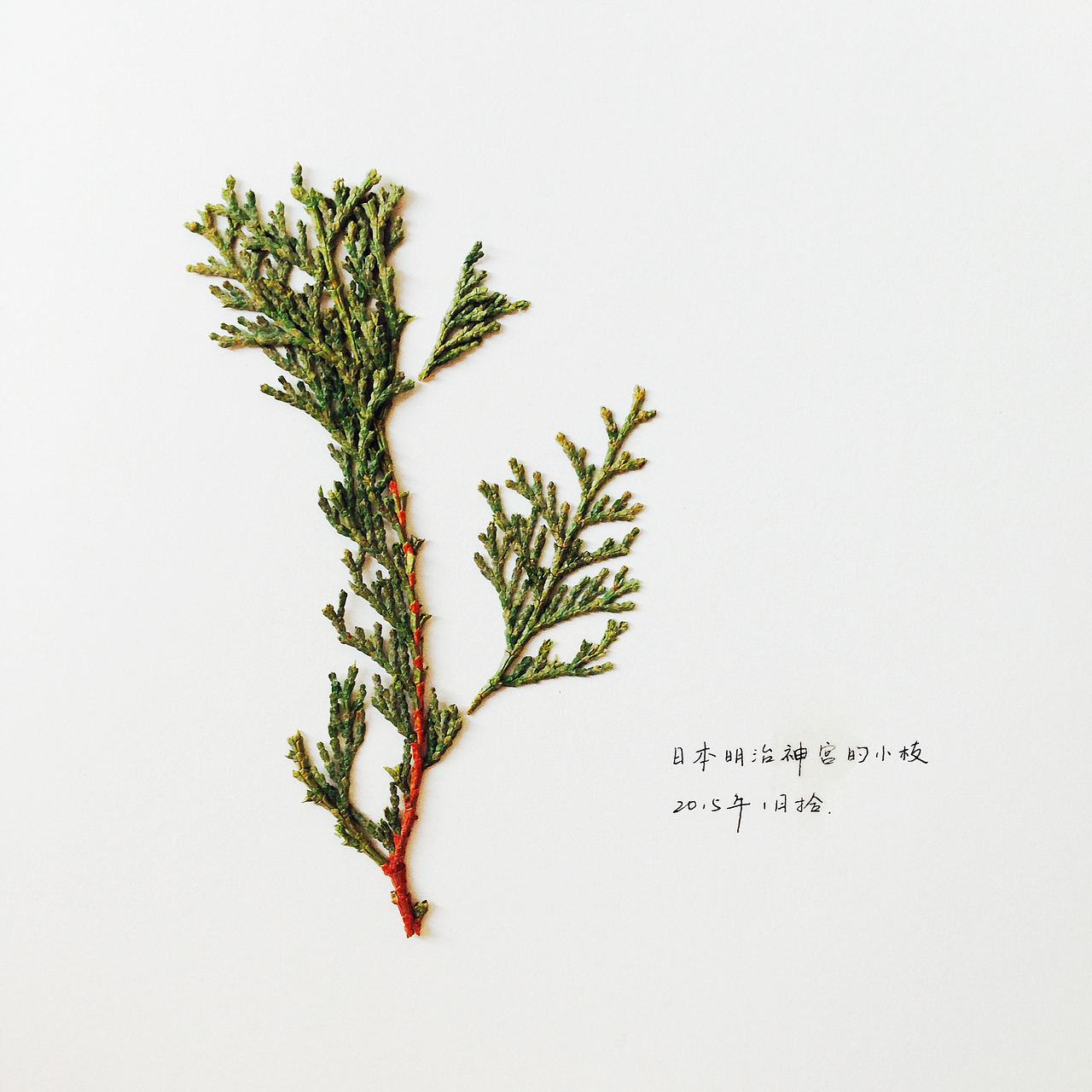 我最好的作品就是我的生活。（图ZMjY3OTIyMDg=） - 产品摄影 - 站酷设计师文静林林原创素材 - 站酷ZCOOL
