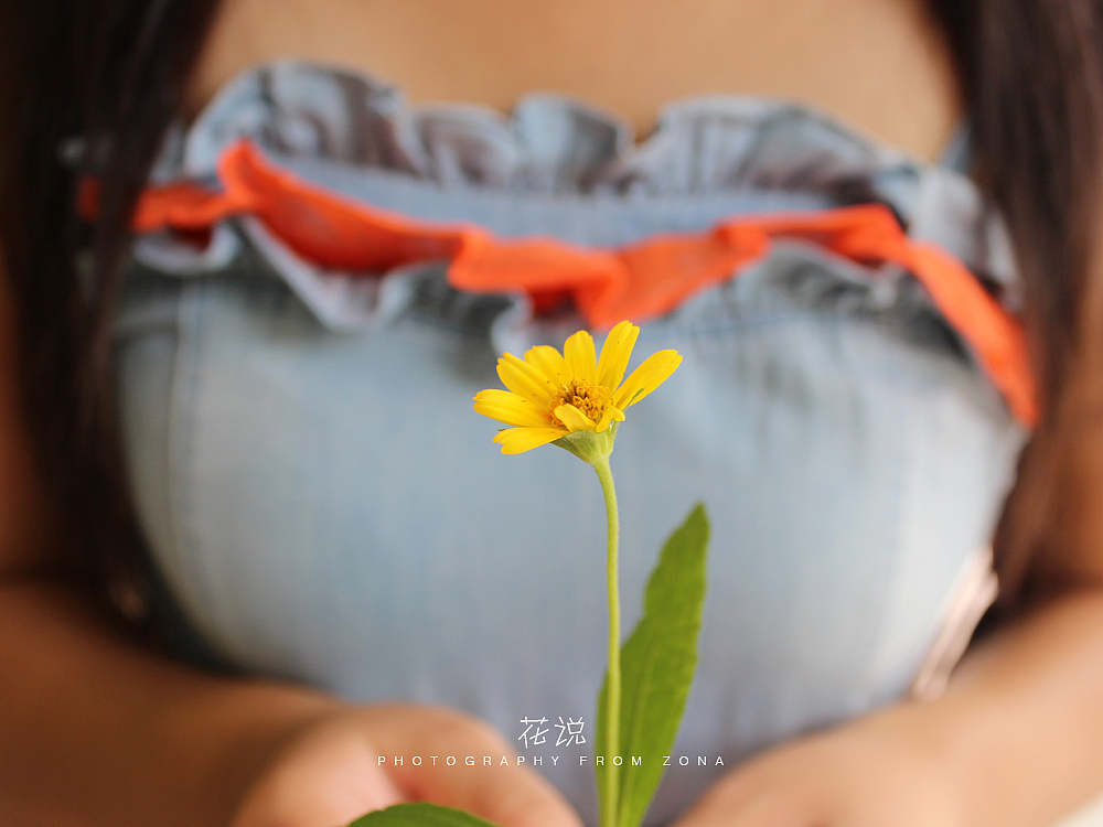 花说（图ZMjIyMDgyODA=） - 风光摄影 - 站酷设计师设计师芄子原创素材 - 站酷ZCOOL