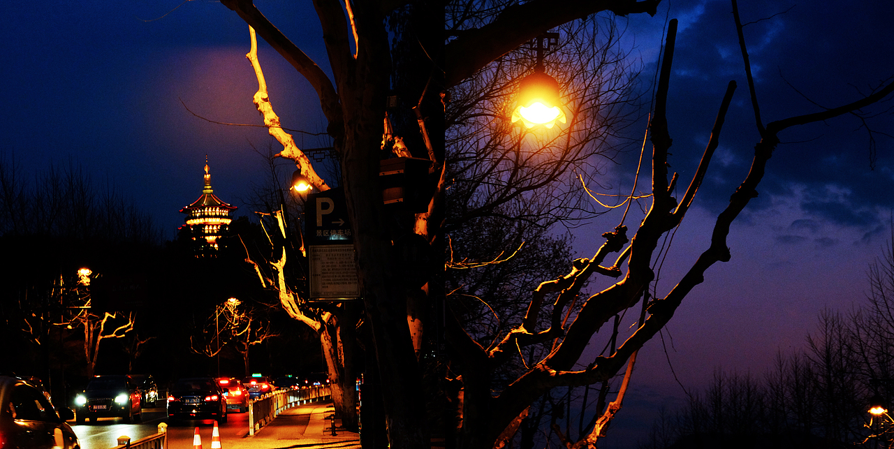 雷峰塔下太子湾旁......