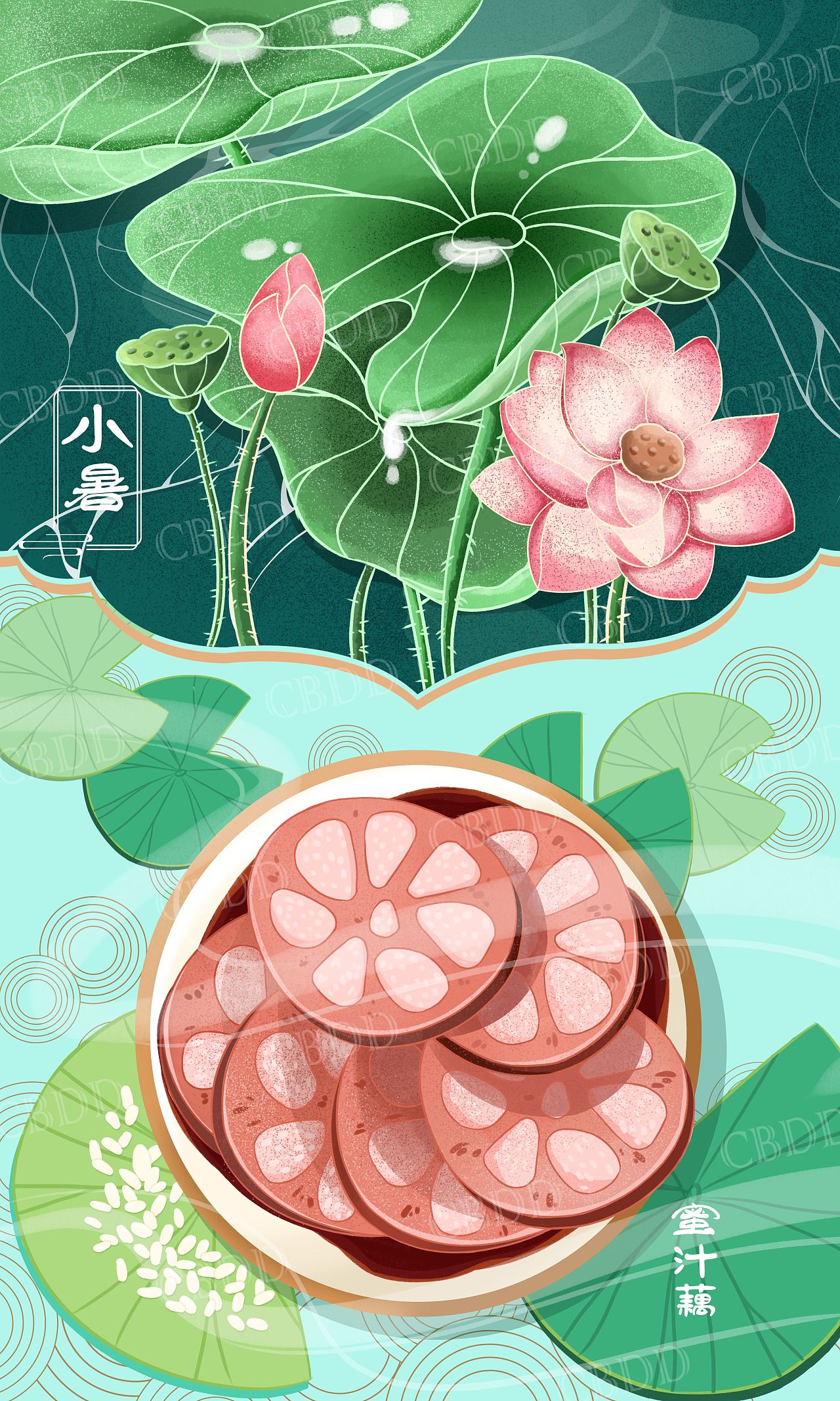 小暑大暑,上蒸下煮 — 蜜汁藕|插画|创作习作|臭宝兜兜 - 原创作品