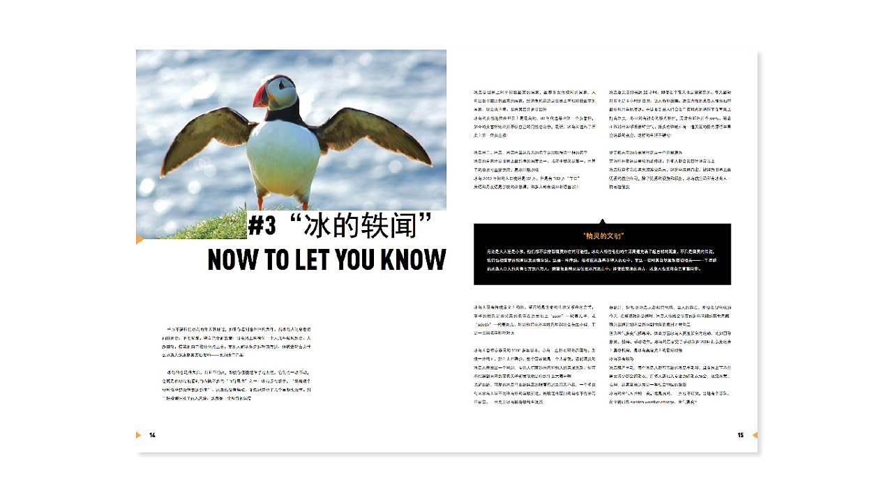 北纬66度——杂志编排