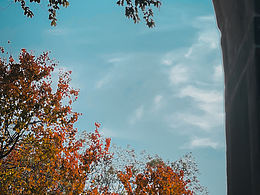 场景