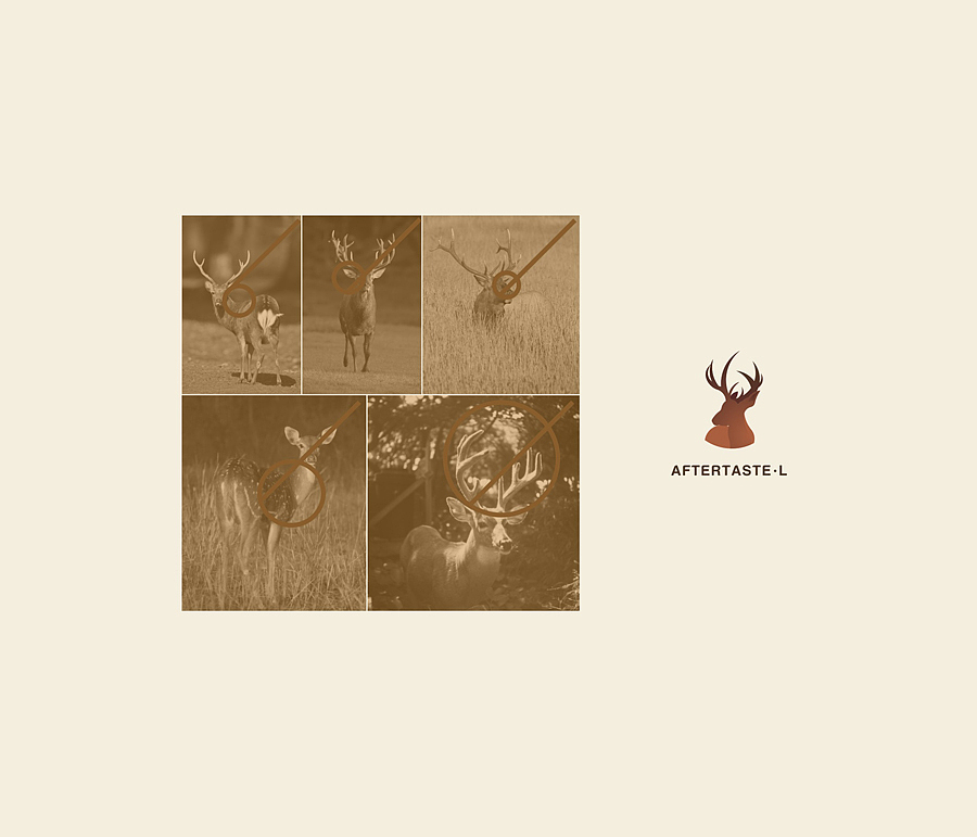 AFTERTASTE — 回味