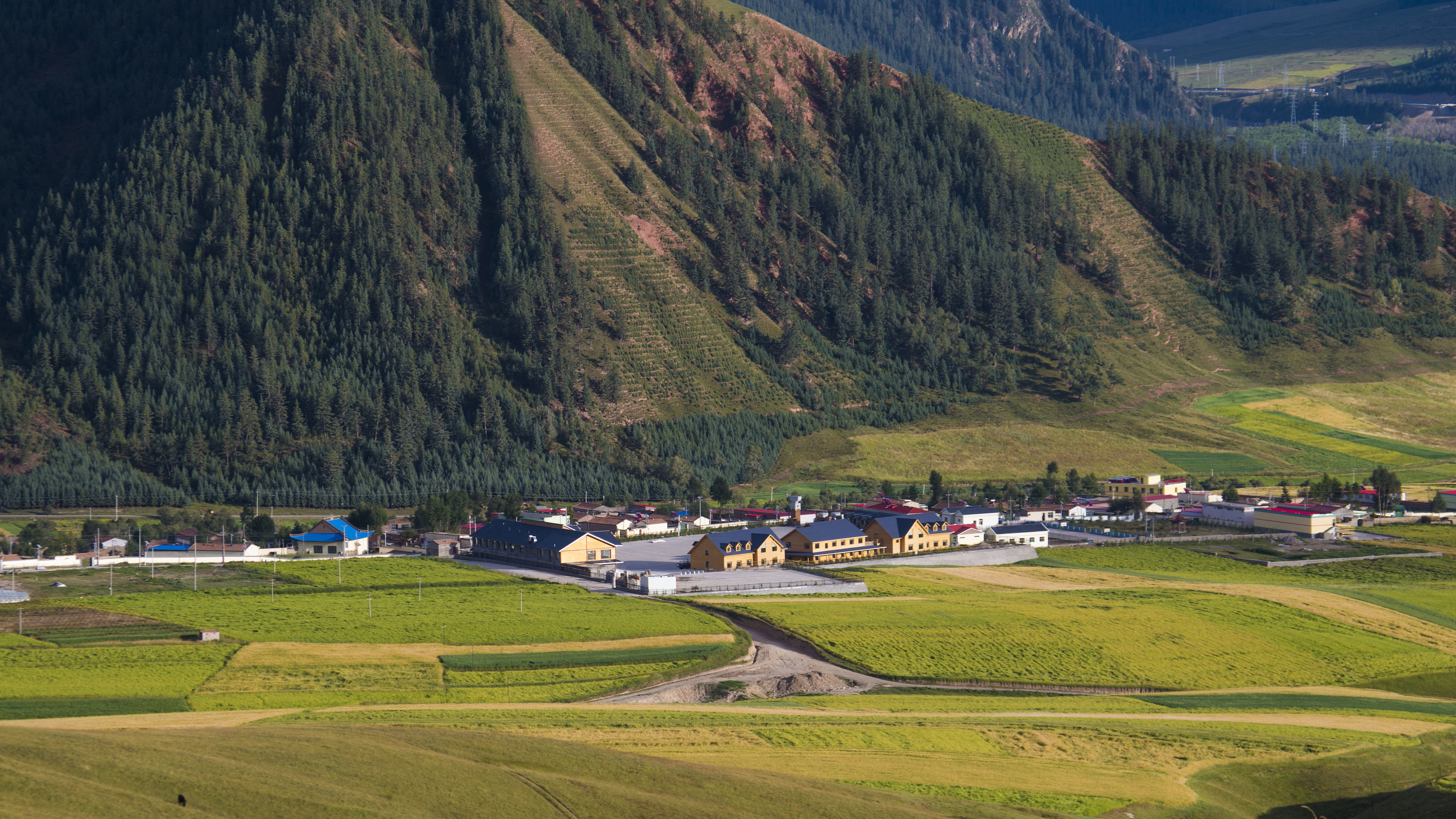 记忆里的大西北