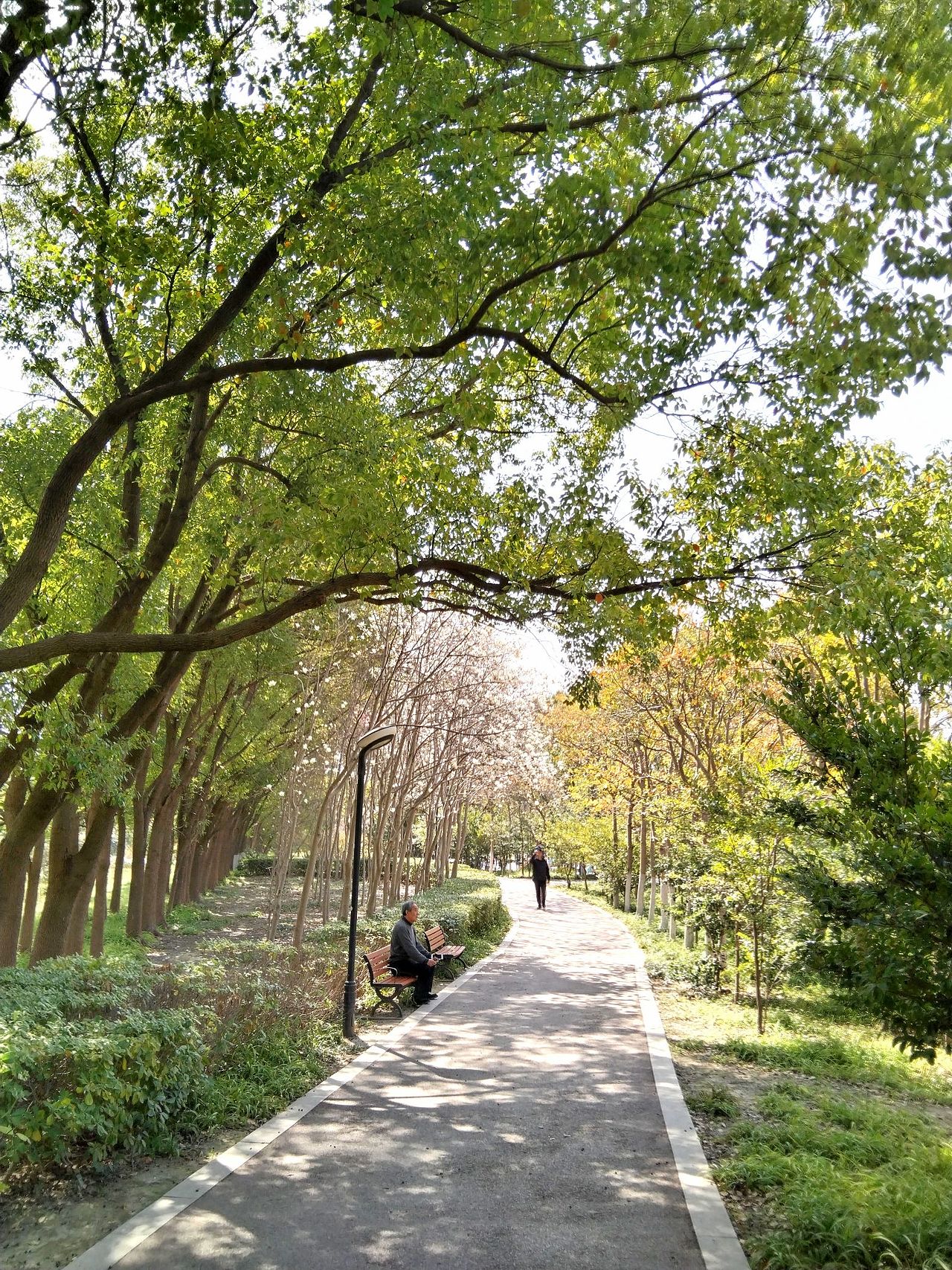 3月实拍！宝山.虎林园（图ZMzY0ODMzMjUy） - 风光摄影 - 站酷设计师东逛西摄原创素材 - 站酷ZCOOL