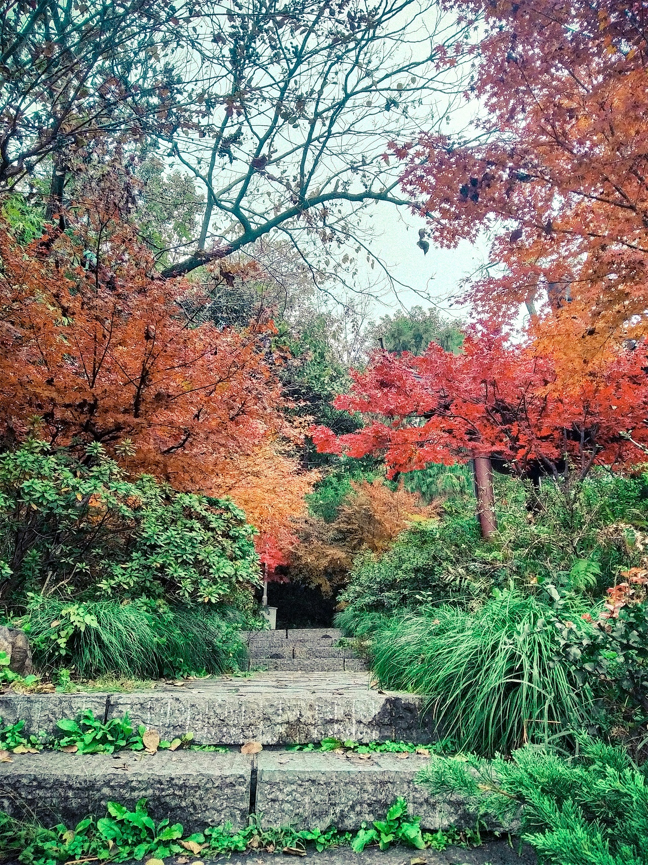 登黄鹤楼（图ZMjM1MDUzMjY4） - 环境/建筑摄影 - 站酷设计师菜到扣jo的设计师原创素材 - 站酷ZCOOL