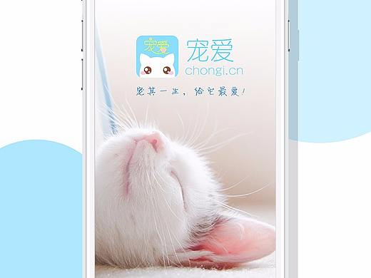 宠物APP界面iOS