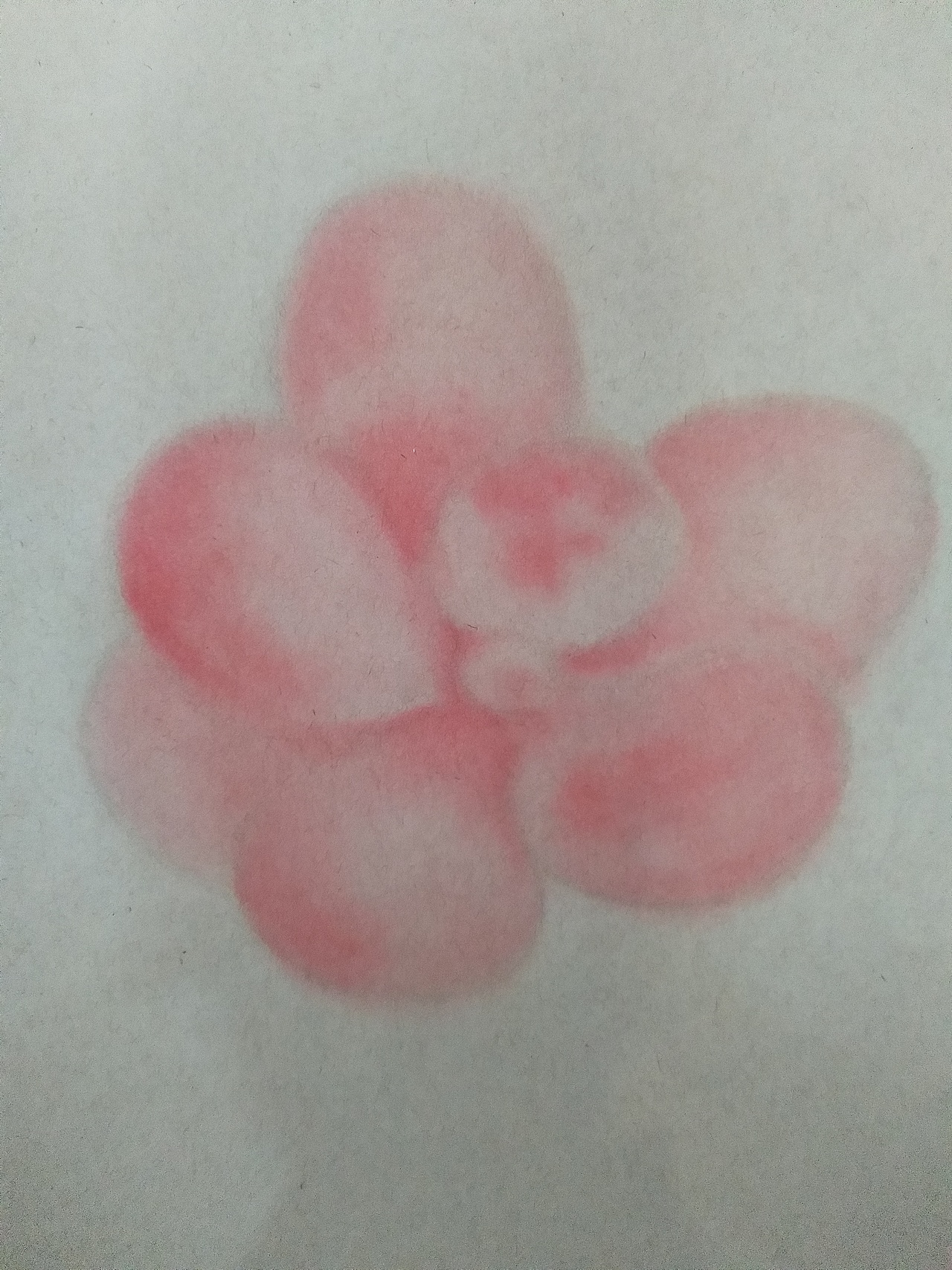 李胜仁 作品（多肉）（图ZMTYzMzAzOTAw） - 绘画 - 站酷设计师李胜仁原创素材 - 站酷ZCOOL