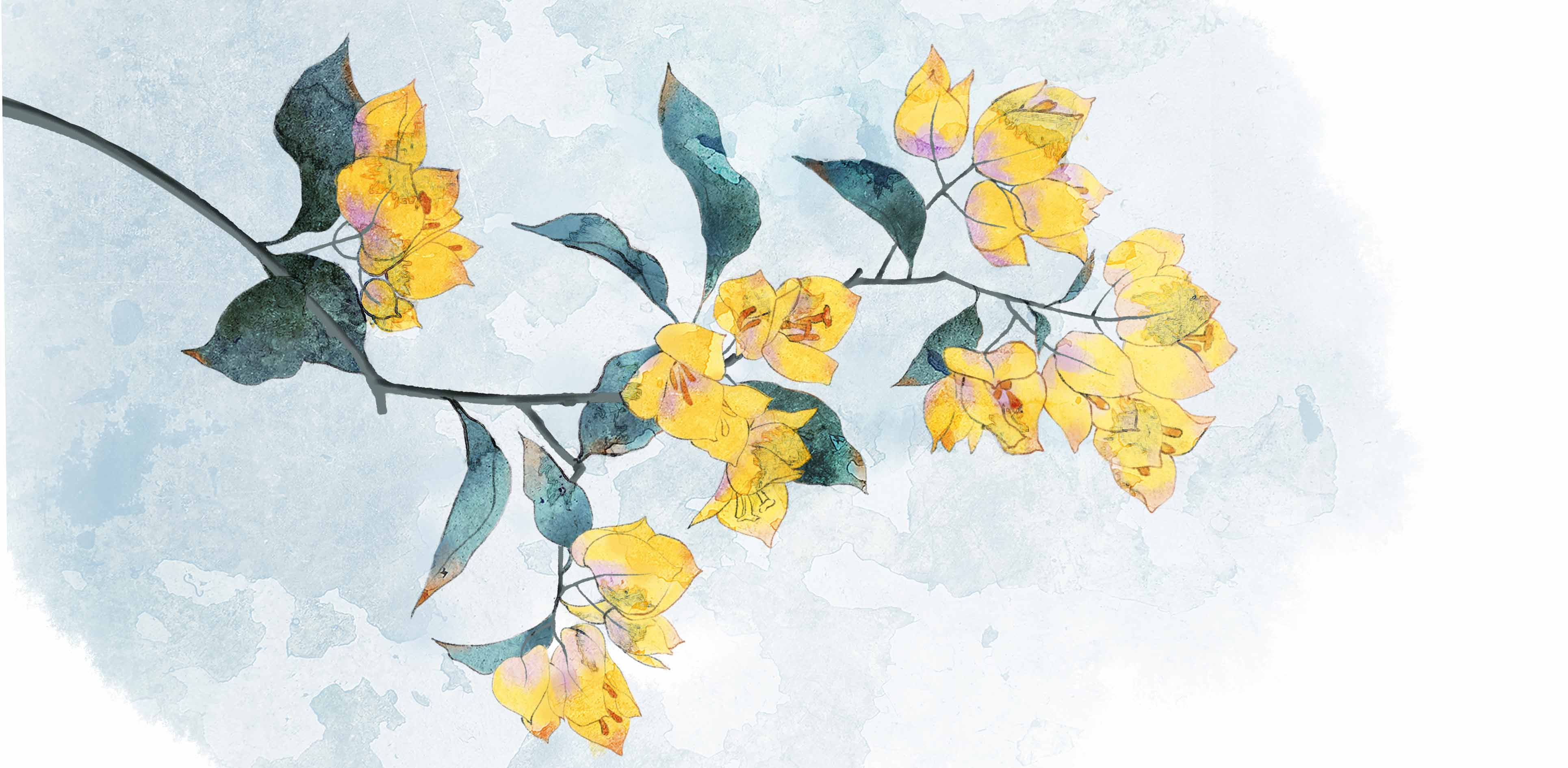 能飲一杯無2022的個(gè)人主頁（背景預(yù)覽） - 主頁背景設(shè)置 - 站酷設(shè)計(jì)師能飲一杯無2022原創(chuàng)素材 - 站酷ZCOOL