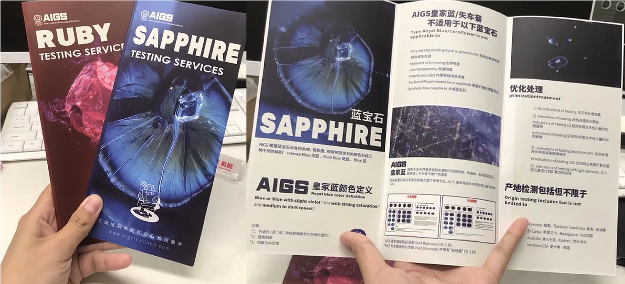 极海听雷2021年终总结