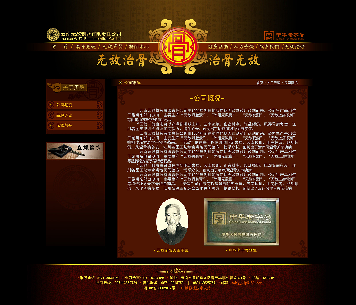 云南无敌制药企业VI、网站、包装、设计，中药包装设计、户外广告、，海报 ，中国风网站（图ZMjM1OTczODQ=） - 企业官网 - 站酷设计师野蜂创意原创素材 - 站酷ZCOOL