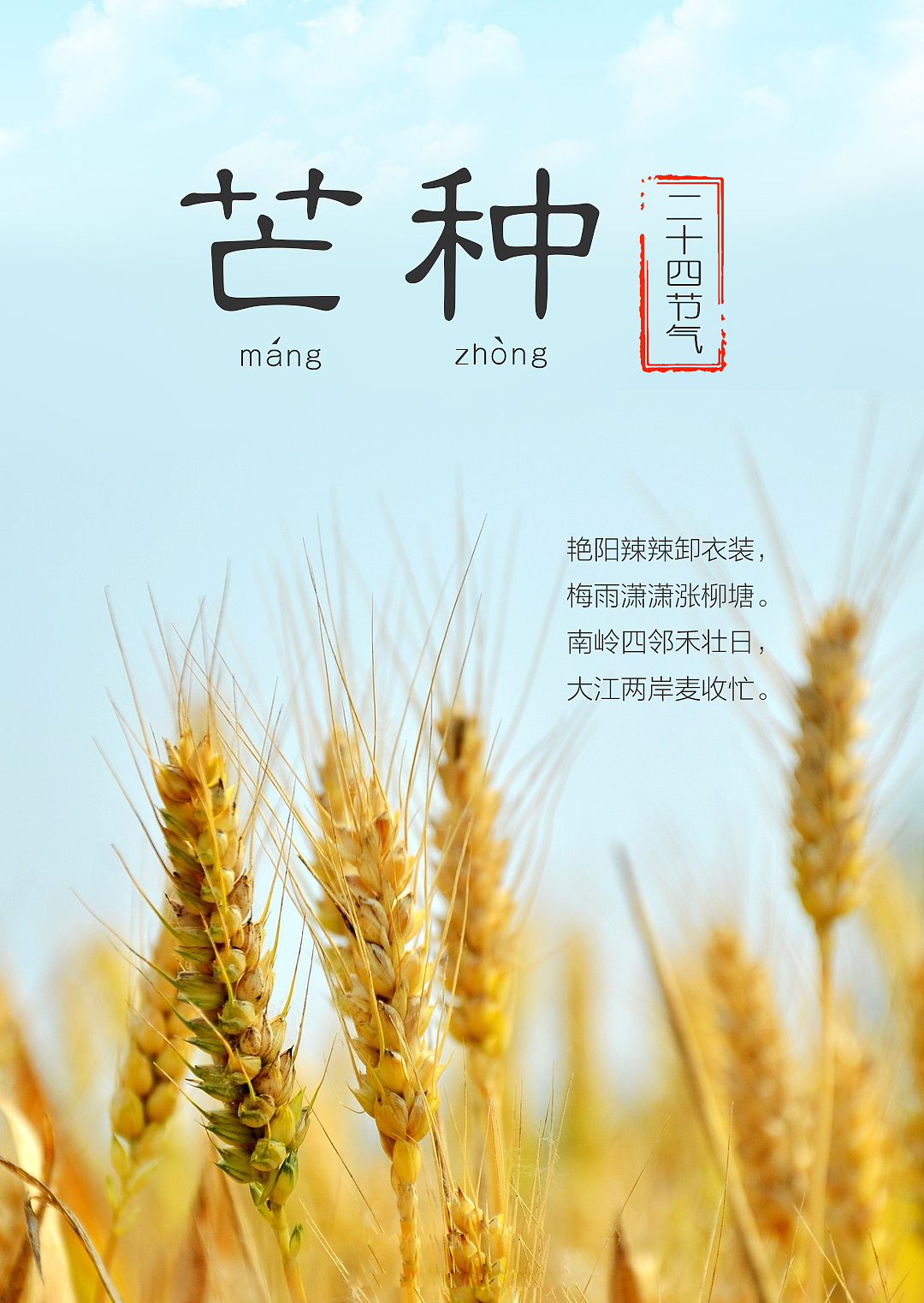 芒种（图ZNTIwMTI5MzI=） - 海报 - 站酷设计师yuhoutian88原创素材 - 站酷ZCOOL