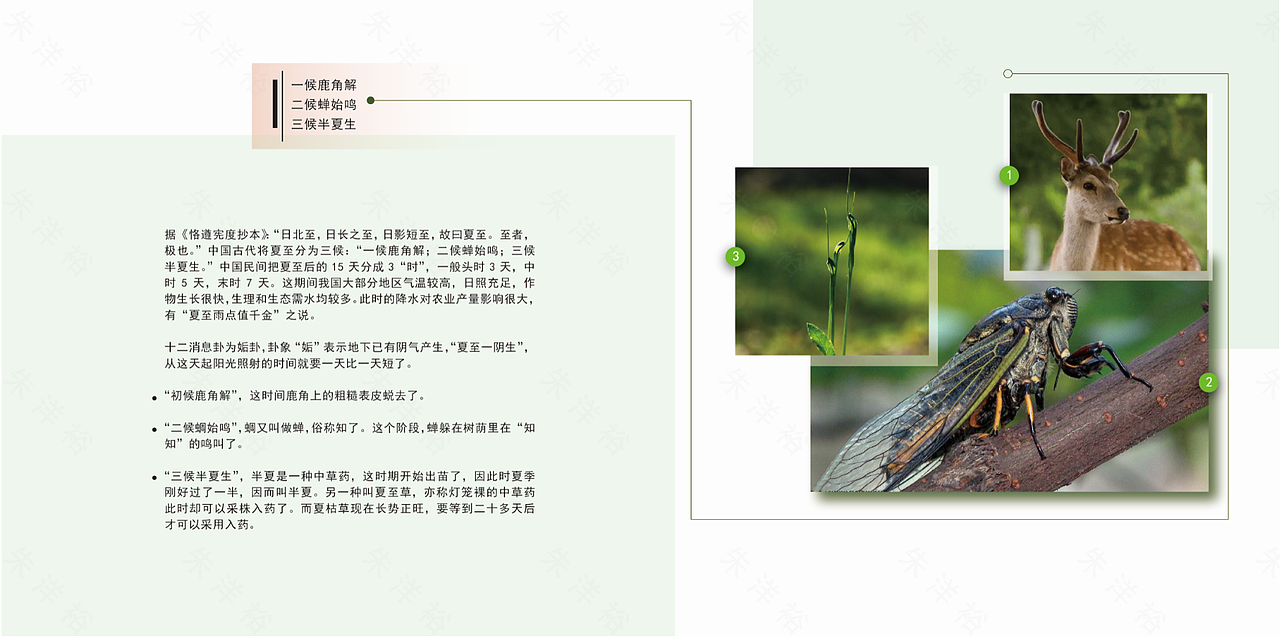 《夏至》型录册子（图ZMjEzMTg5MzI4） - 书籍/画册 - 站酷设计师涣成野原创素材 - 站酷ZCOOL