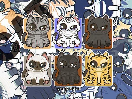 猫猫