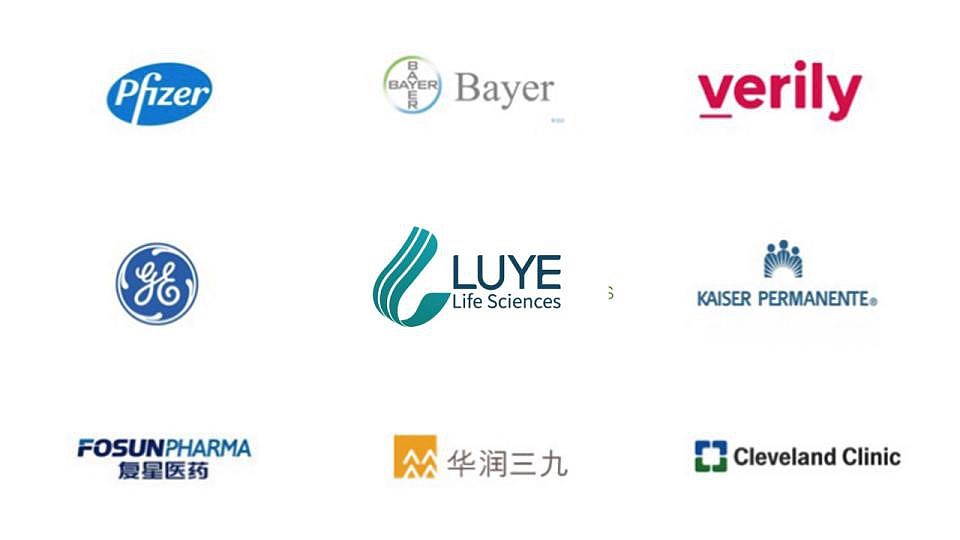 绿叶生命标志修改提案（图ZMjM2MDkwMjIw） - Logo - 站酷设计师许天博原创素材 - 站酷ZCOOL