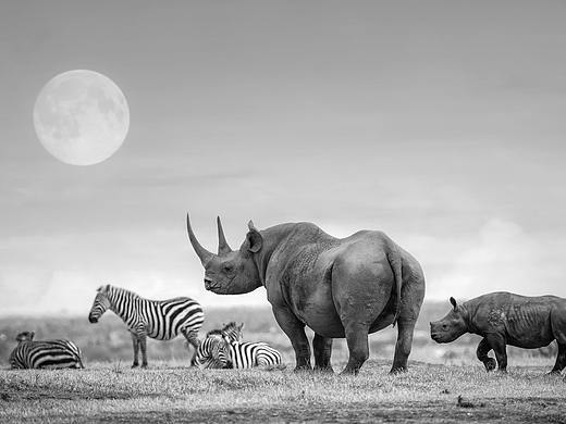 日常打卡練習（個人主頁-ZMjY1MzM0NjQ=） - 創(chuàng)作習作 - 站酷設計師花生味的瓜子原創(chuàng)素材 - 站酷ZCOOL