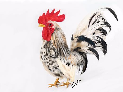 今晚吃鸡大吉大利