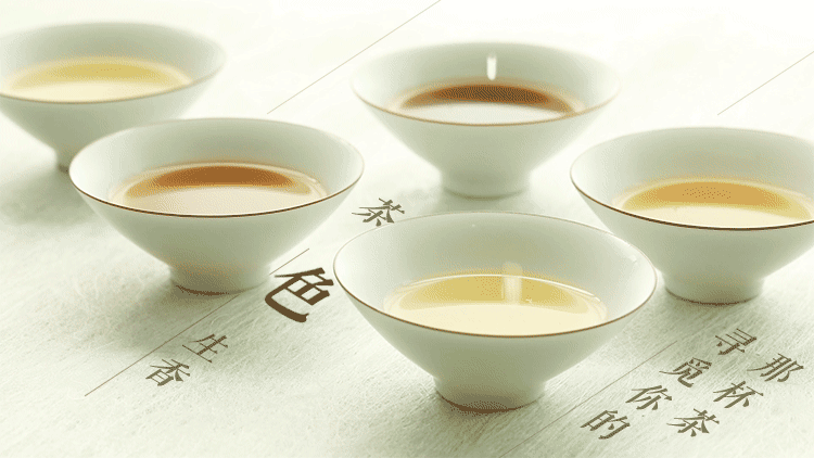 适合你的那杯茶