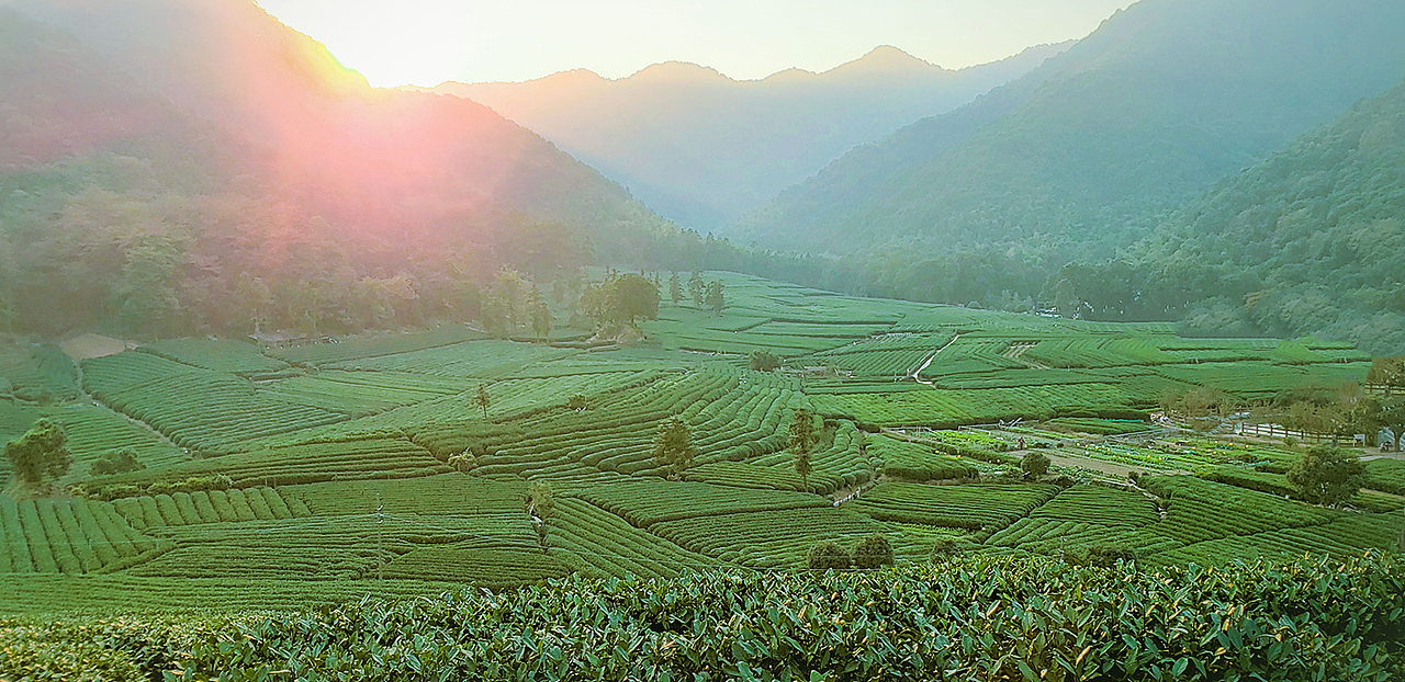 《韵·杭州》（图ZMTY4OTY4ODAw） - 人文/纪实摄影 - 站酷设计师大脸夏夏子原创素材 - 站酷ZCOOL