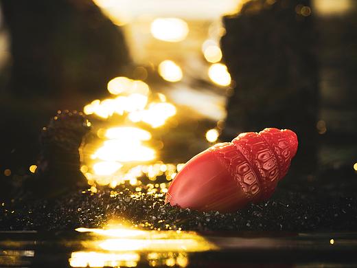 珠宝摄影-海景摄影