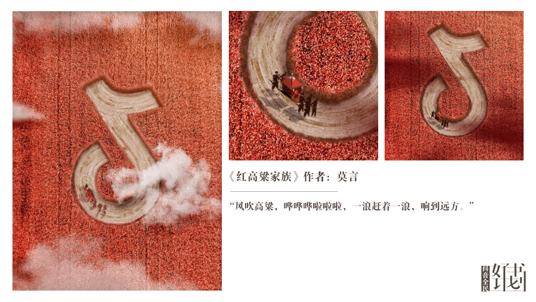 结束了南方的小资，我们来到东北的粗旷。
红高梁家族是中国当代著名作家莫言的作品。《红高粱家族》由《红高粱》《高粱酒》《高粱殡》《狗道》《奇死》五部组成。以抗日战争及二十世纪三四十年代高密东北乡的民间生活为背景。<br>海报的设计则选取了大家对红高粱最直接的视觉感官元素，红高粱地和慢慢前行的大花轿。抖音的音符幻化成道路融合在了这一个世界中，大面积的红高粱地也和这本书所传达出的气场一致，粗旷而又美丽。