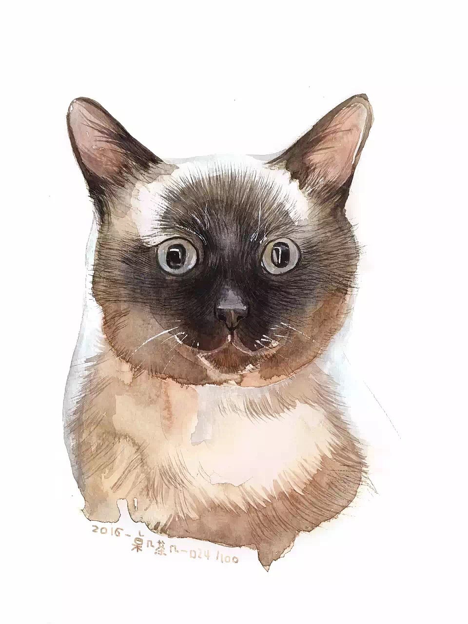 #存图# 没完成的100只猫（图ZMTc0MDM2MDE2） - 创作习作 - 站酷设计师汪野心原创素材 - 站酷ZCOOL