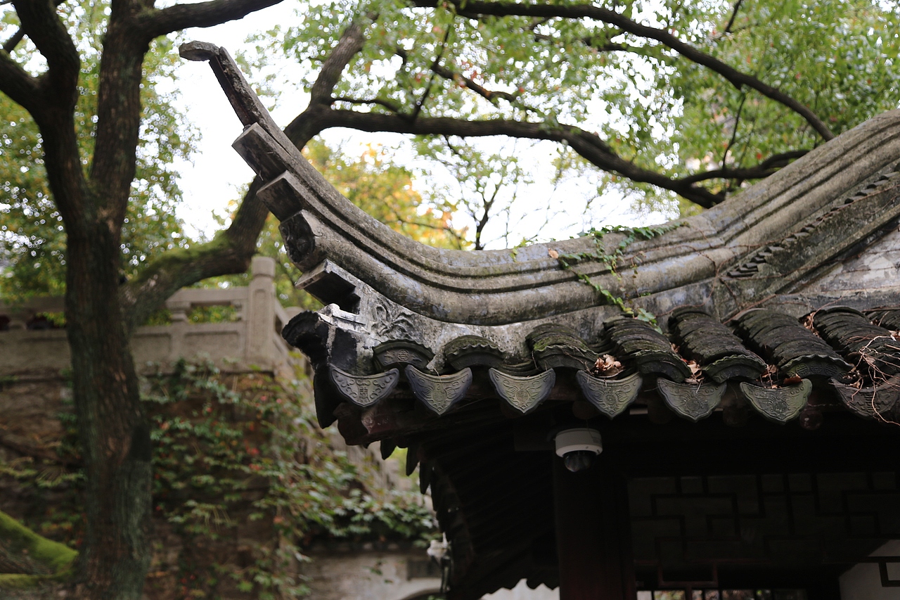 苏州虎丘山风光~秋色无边