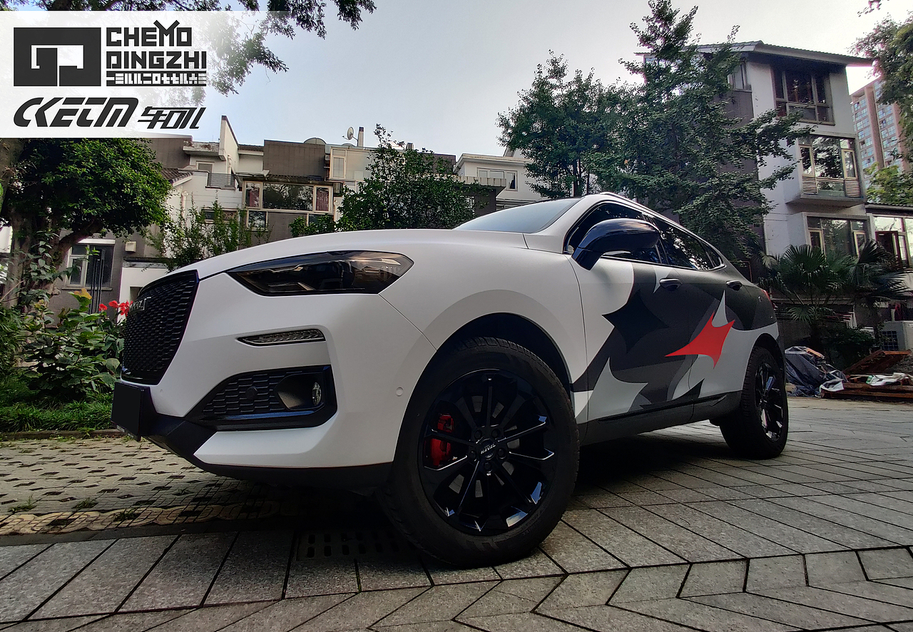 汽车车膜个性化定制真实呈现（已备案）