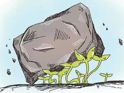 既然人人都想自学编程,为什么坚持下来的没几个?这才是答案!