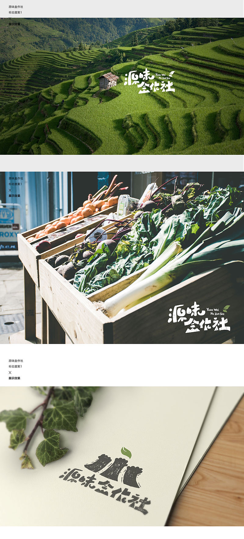 做一次绿色的设计by seenvision(图ZNjY4NDE2MjQ=) - 品牌 - 站酷设计师SEENVISION原创素材 - 站酷ZCOOL