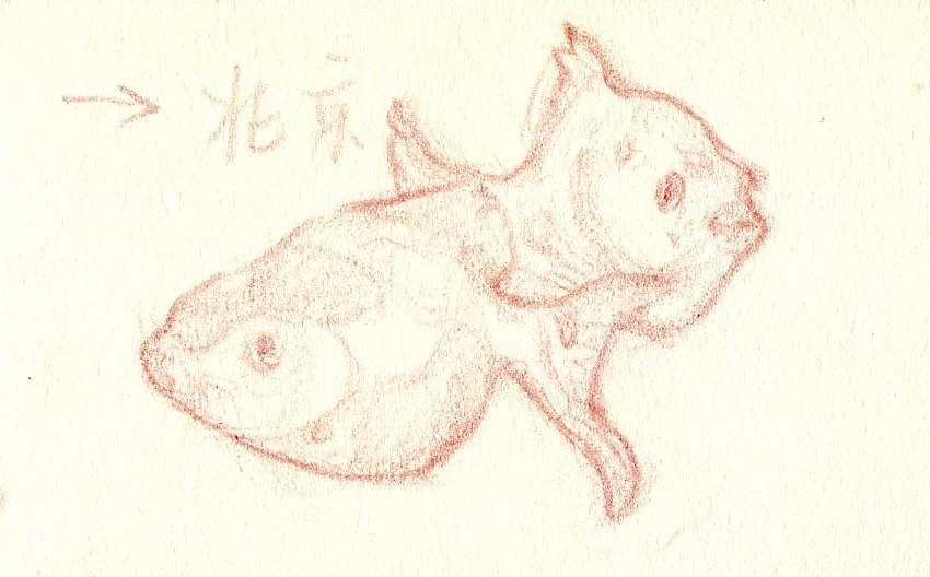 顺手画/习作