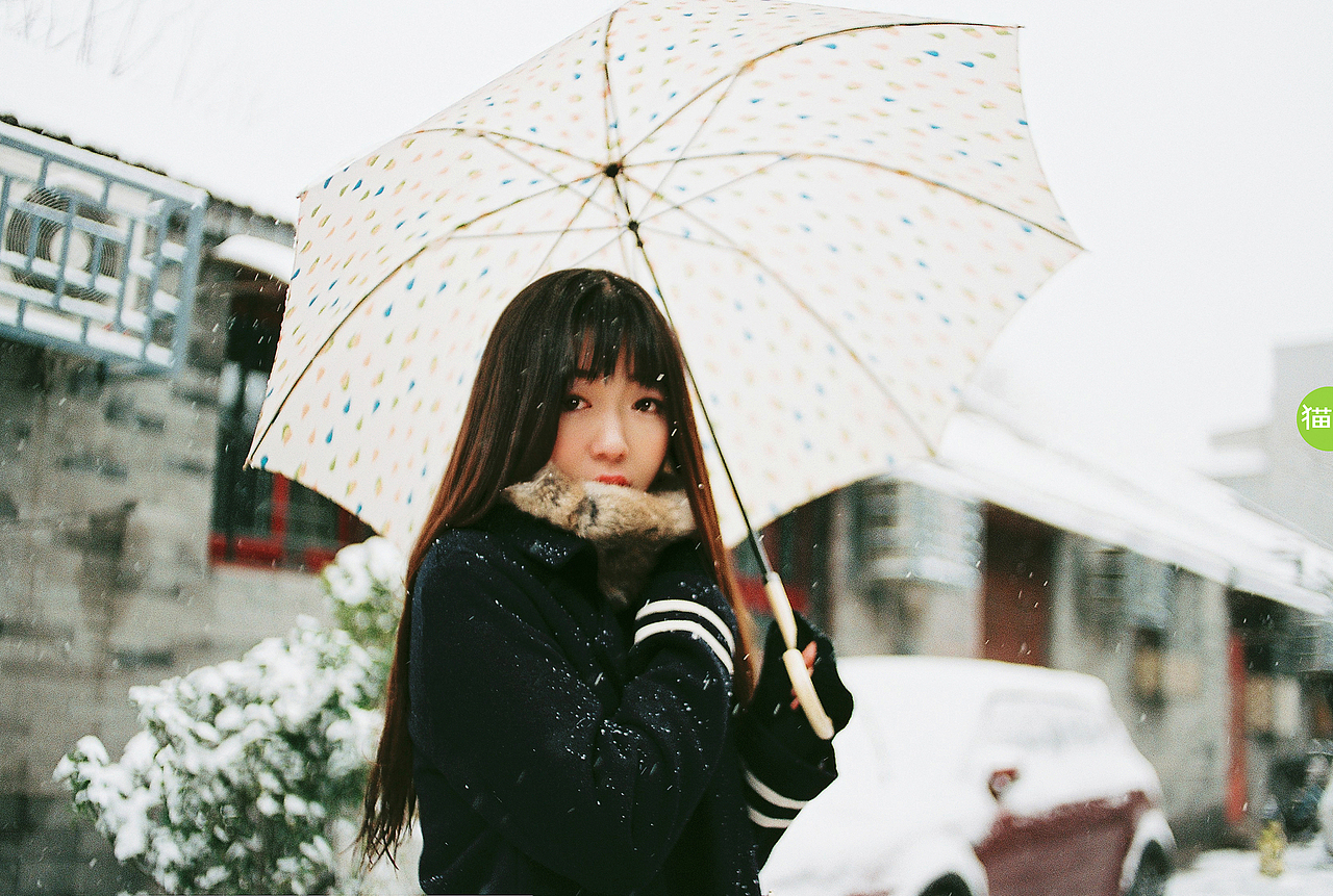 《雪梦》