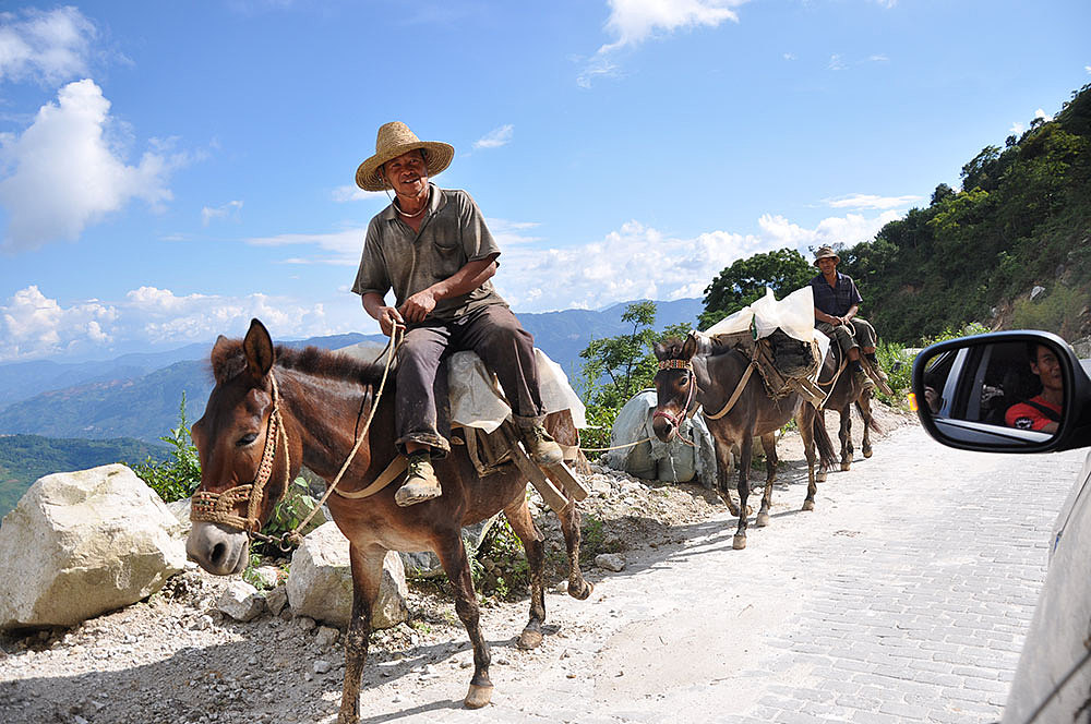 我在看他們,他們也在看我