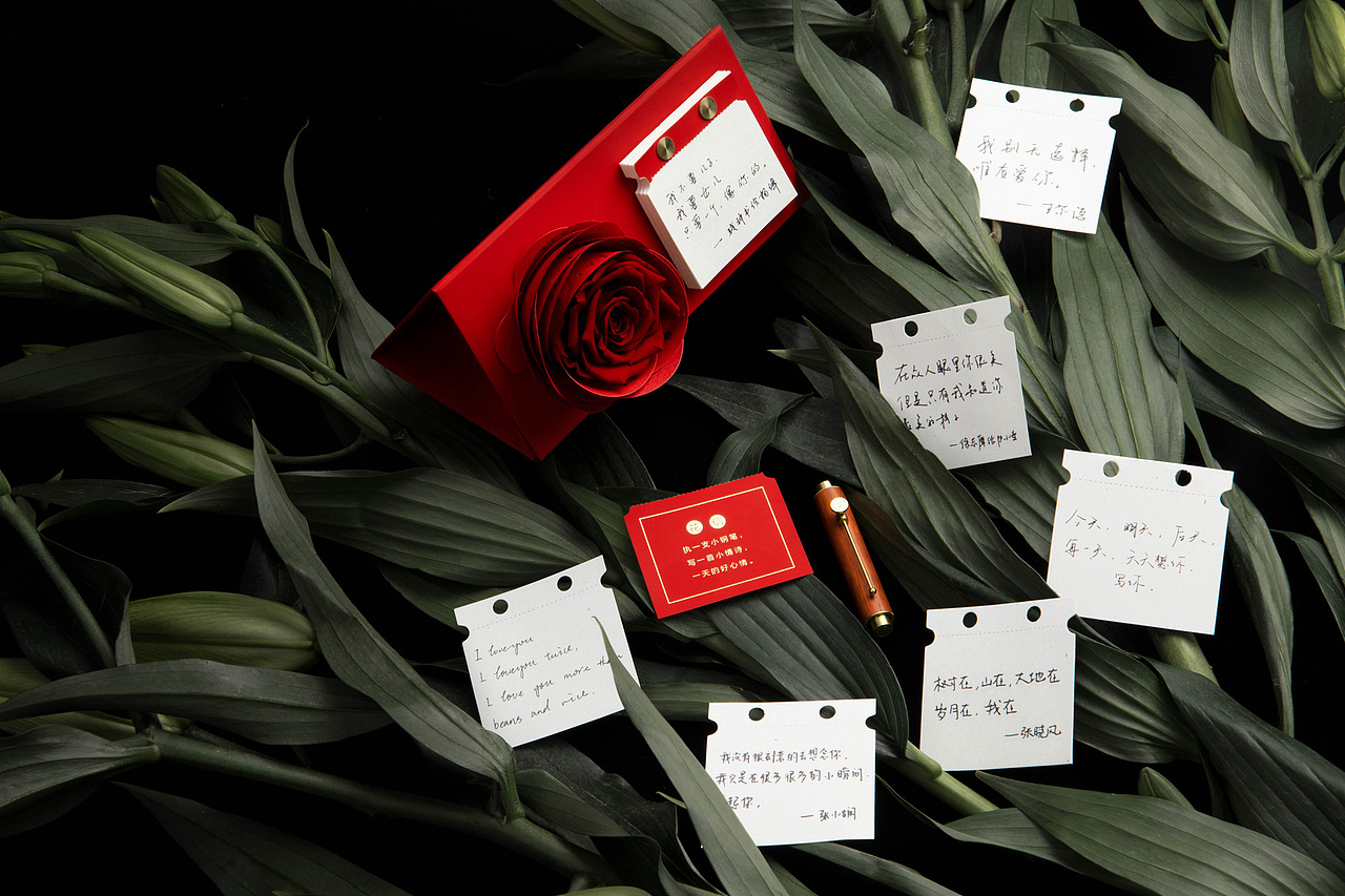 小时光便携钢笔·花信礼盒（图ZMTMxNTg5ODA0） - 生活用品 - 站酷设计师意外设计原创素材 - 站酷ZCOOL