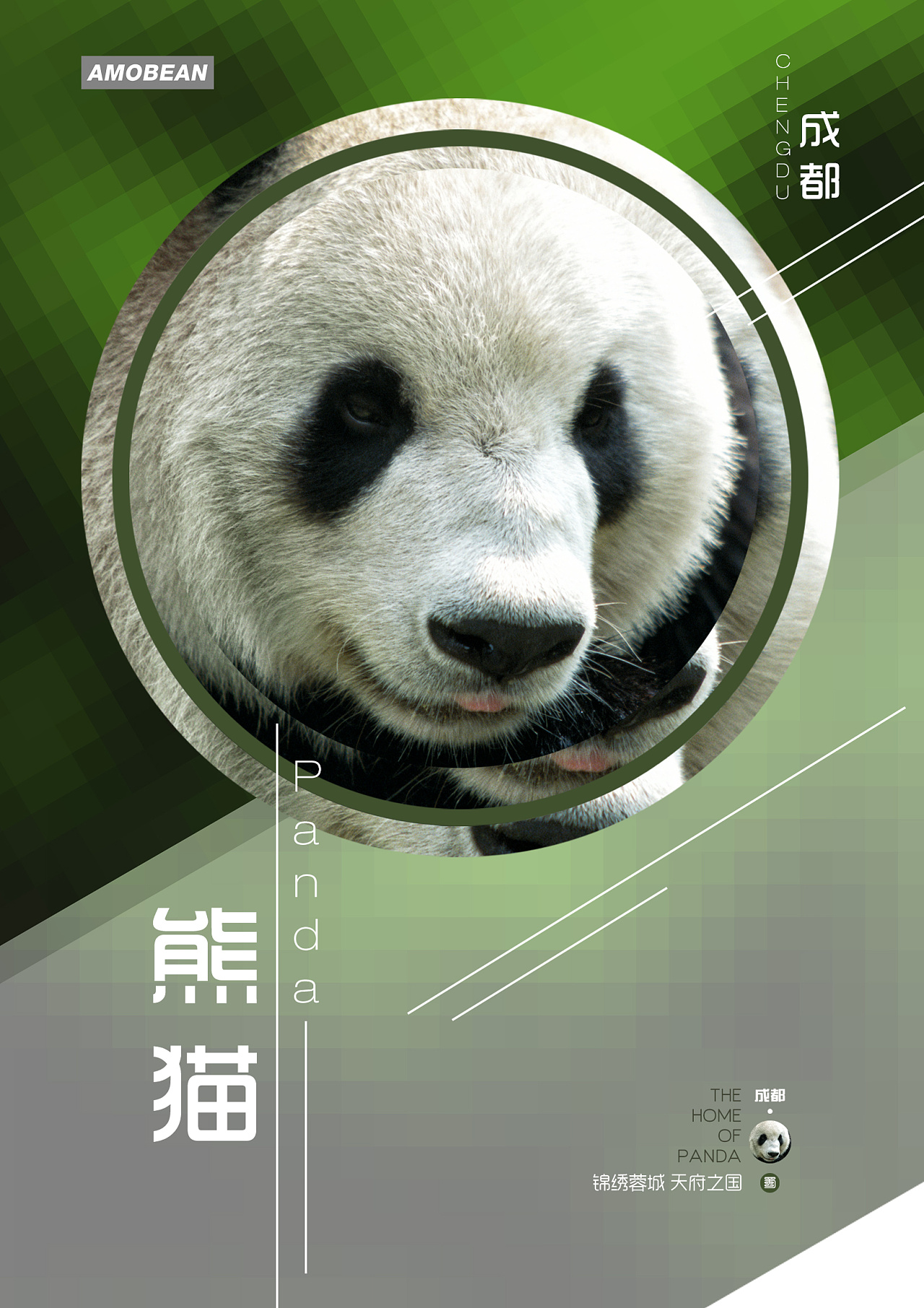 做了一套关于家乡的形象设计海报,选择了三个元素,火锅,川剧,熊猫.