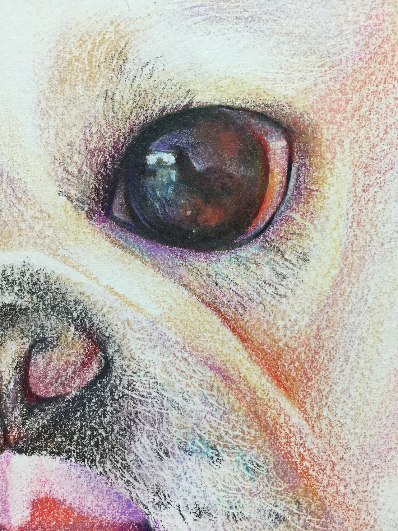 彩铅法斗（图ZMzczOTczOTY=） - 绘画 - 站酷设计师木下彩铅原创素材 - 站酷ZCOOL