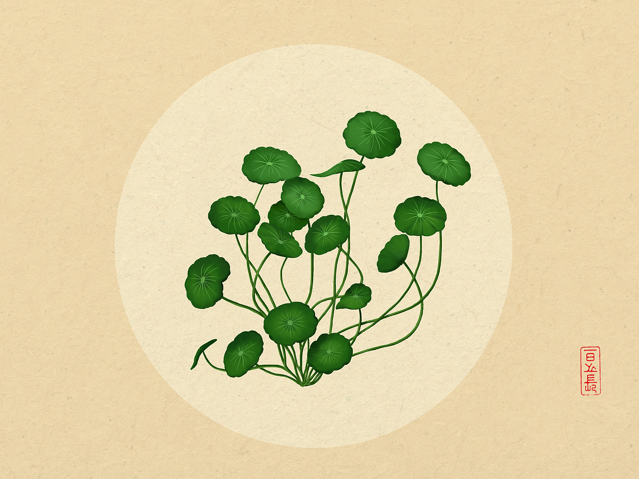 植物插画系列（三）（图ZODQxNTQzMjA=） - 商业插画 - 站酷设计师日光倾城417原创素材 - 站酷ZCOOL