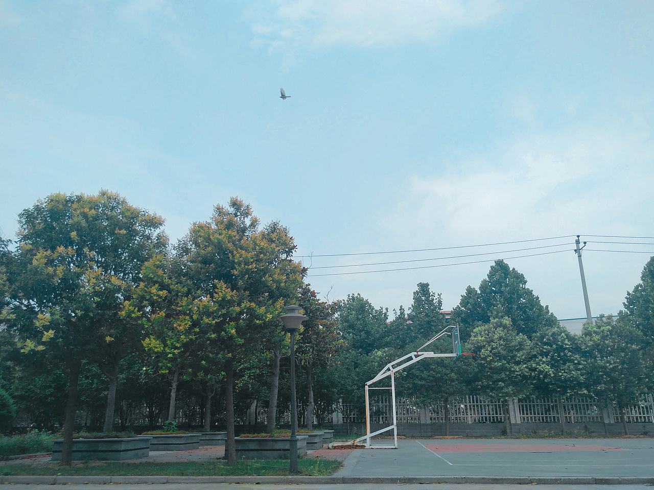 手機拍的，感覺良好（圖ZMTIyOTk1MTI4） - 風光攝影 - 站酷設(shè)計師Hi大王原創(chuàng)素材 - 站酷ZCOOL